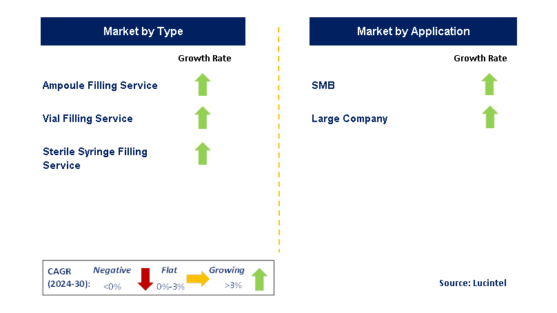 CMO-Based Fill-Finish Services by Segment